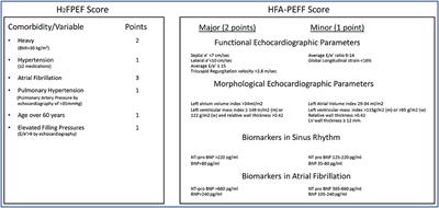 Diving Into the Diagnostic Score Algorithms of Heart Failure With Preserved Ejection Fraction